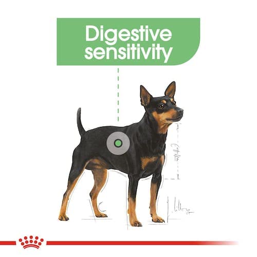 Royal Canin Digestive Care | Double Pack | 2 x 12 x 85 g | Wet food for adult dogs | From 10 months of age | Suitable for dogs with sensitive digestion - Image 7
