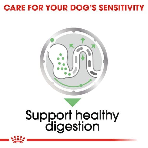 Royal Canin Digestive Care | Double Pack | 2 x 12 x 85 g | Wet food for adult dogs | From 10 months of age | Suitable for dogs with sensitive digestion - Image 9