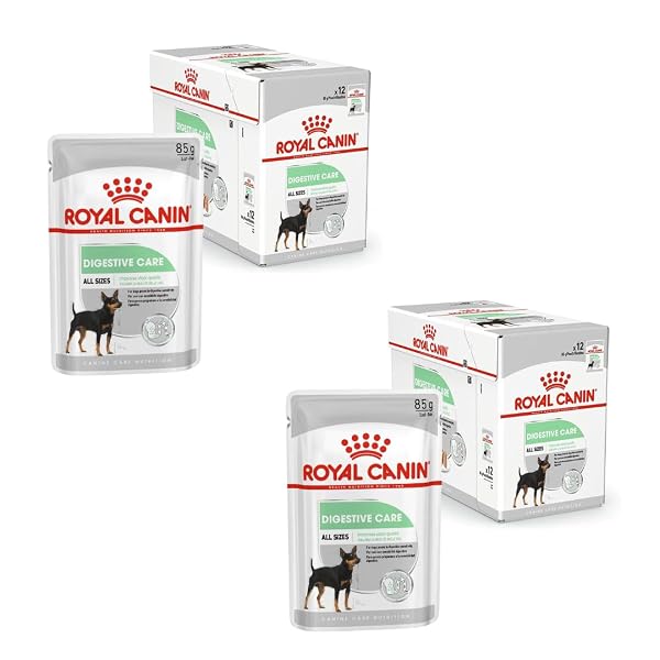 Royal Canin Digestive Care | Double Pack | 2 x 12 x 85 g | Wet food for adult dogs | From 10 months of age | Suitable for dogs with sensitive digestion
