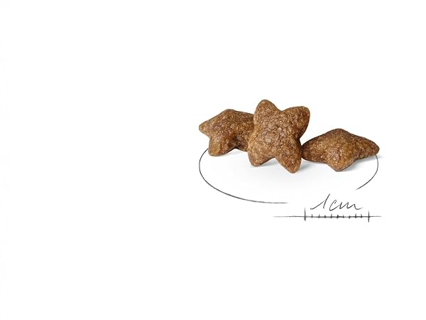 Royal Canin Dog Food Mini Adult 2 kg - Image 3