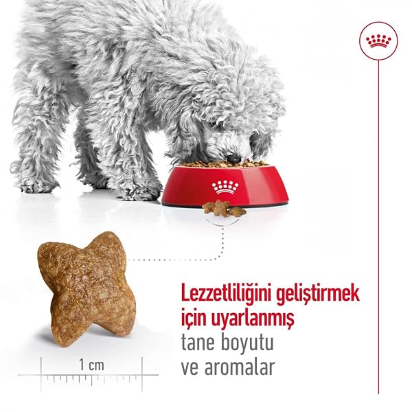 Royal Canin Dog Food Mini Adult 2 kg - Image 7