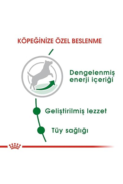 Royal Canin Dog Food Mini Adult 2 kg - Image 8