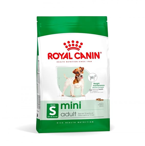 Royal Canin Dog Food Mini Adult 2 kg