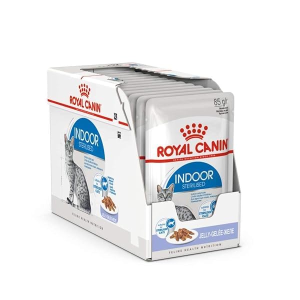 Royal Canin Indoor Sterilised Adult Wet Cat Food in Jelly 24 x 85g - Image 3