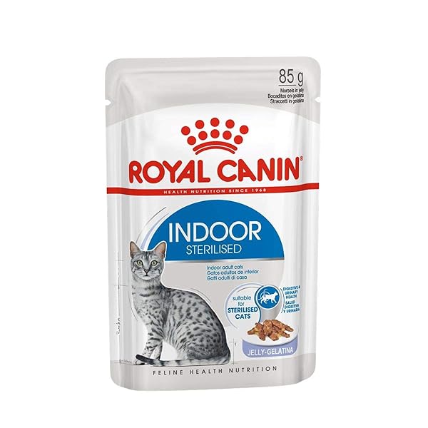 Royal Canin Indoor Sterilised Adult Wet Cat Food in Jelly 24 x 85g - Image 5