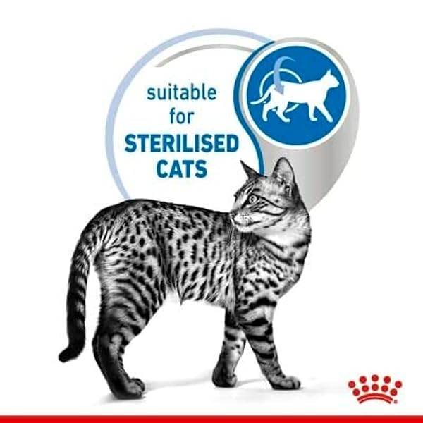 Royal Canin Indoor Sterilised Adult Wet Cat Food in Jelly 24 x 85g - Image 8