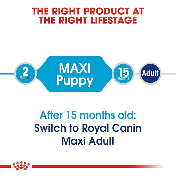 Royal Canin Maxi Puppy 4 kg - Image 4