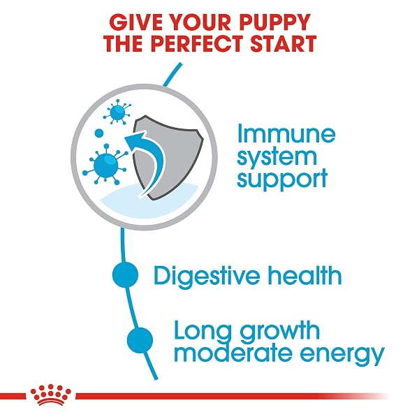 Royal Canin Maxi Puppy 4 kg - Image 5