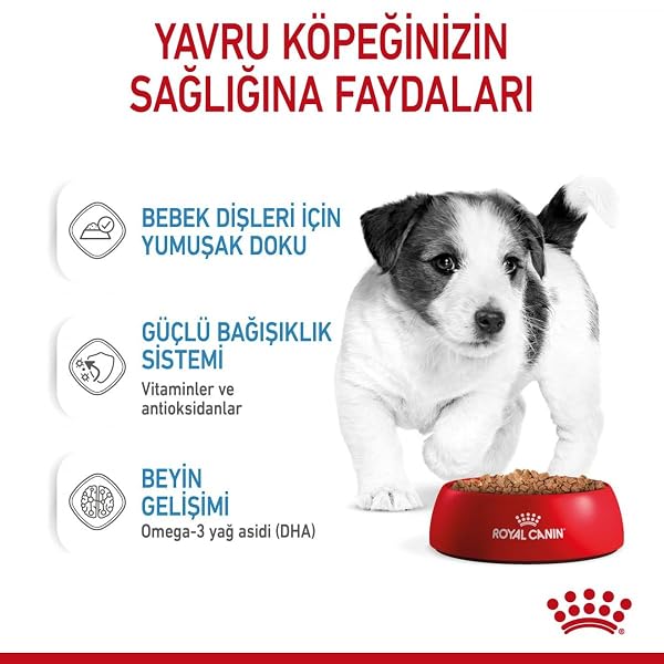 Royal Canin Mini Puppy in Gravy Wet Food 85g (12 Pack) - Image 6