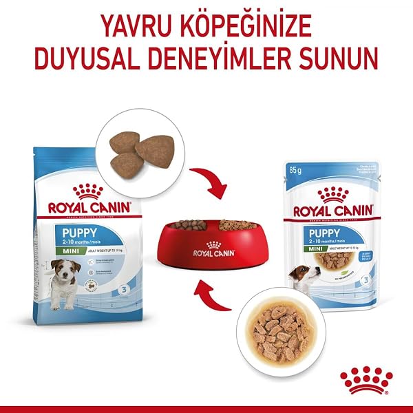 Royal Canin Mini Puppy in Gravy Wet Food 85g (12 Pack) - Image 8