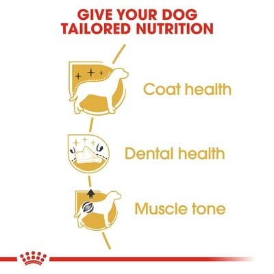 Royal Canin Poodle Adult Dry Dog Food 1.5kg - Image 5