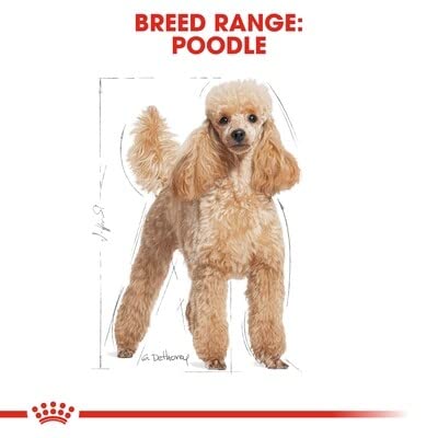 Royal Canin Poodle Adult Dry Dog Food 1.5kg - Image 8
