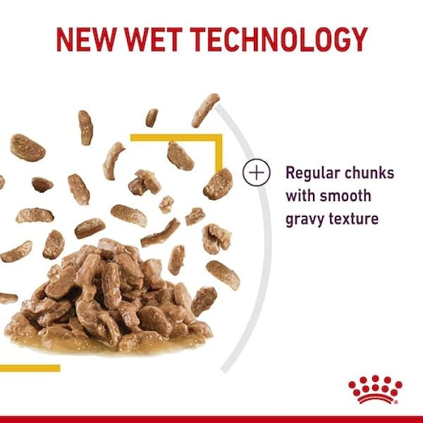 Royal Canin Sensory Taste in Gravy Wet Cat Food 85g (Pack of 48) - Image 3