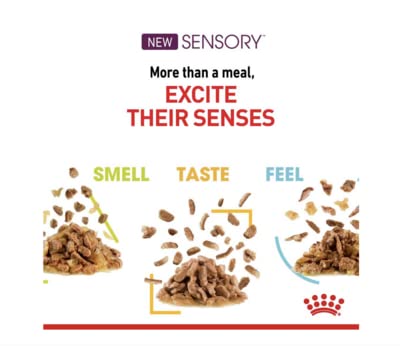 Royal Canin Sensory Taste in Gravy Wet Cat Food 85g (Pack of 48) - Image 7