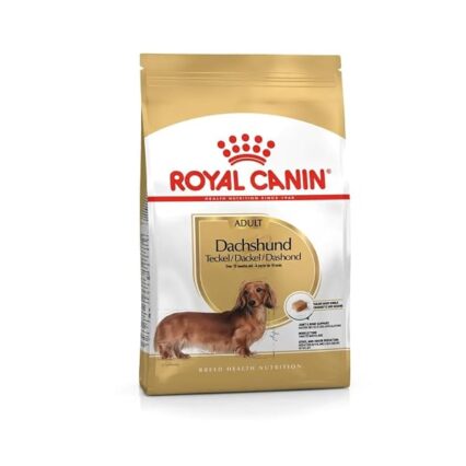 Royal Canin Teckel Adulte 500 GR
